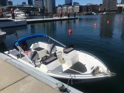 bow rider speed boat hire