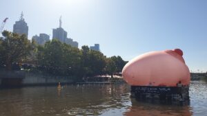 Yarra River Boating